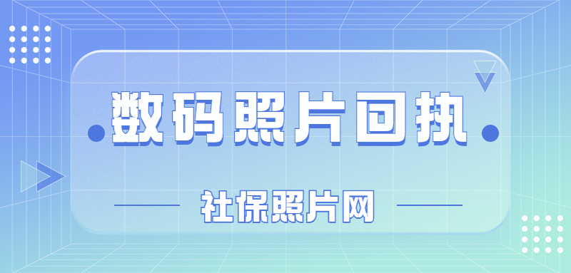 社保照片回执可以在网上办吗？