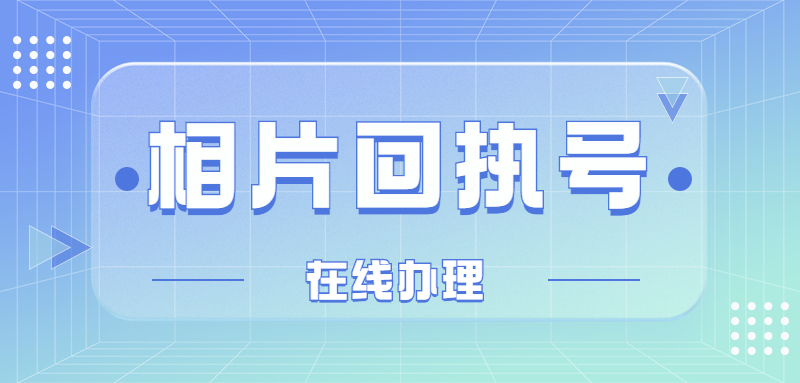 怎么查照片回执号？