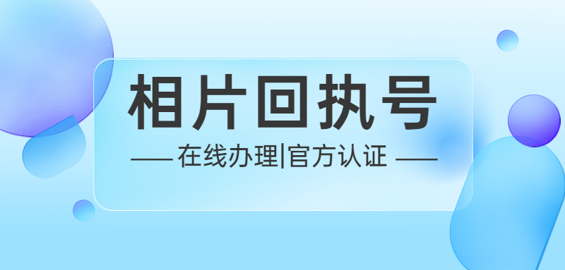 相片回执号在哪办理？