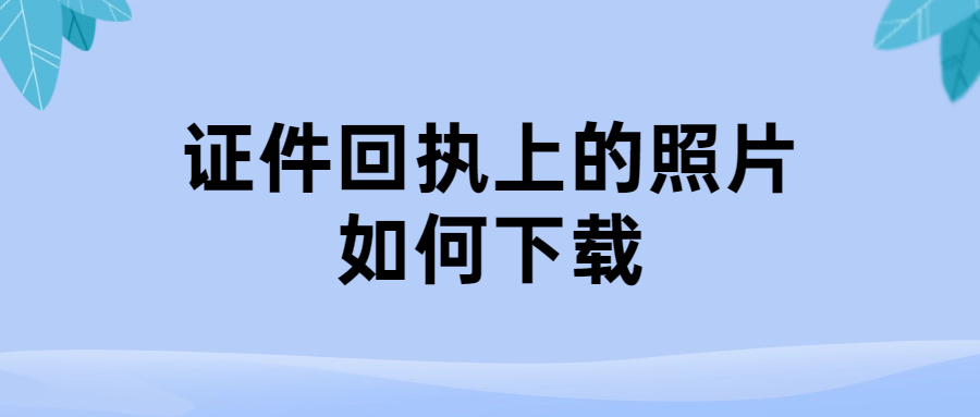 证件回执上的照片如何下载