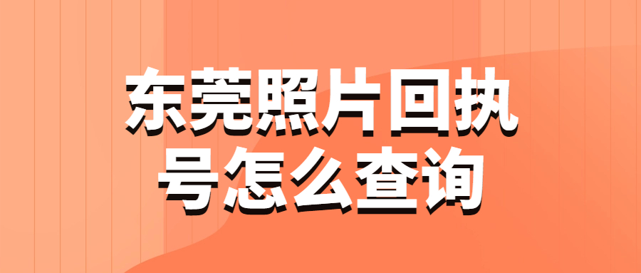 东莞照片回执号怎么查询