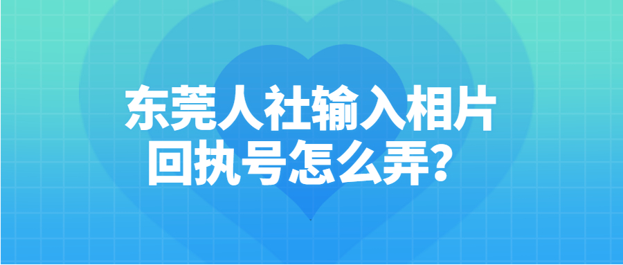 东莞人社相片回执号怎么弄？