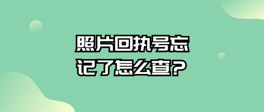 社保照片回执号忘记了怎么查
