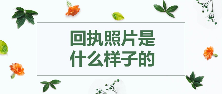 回执照片是什么样子的