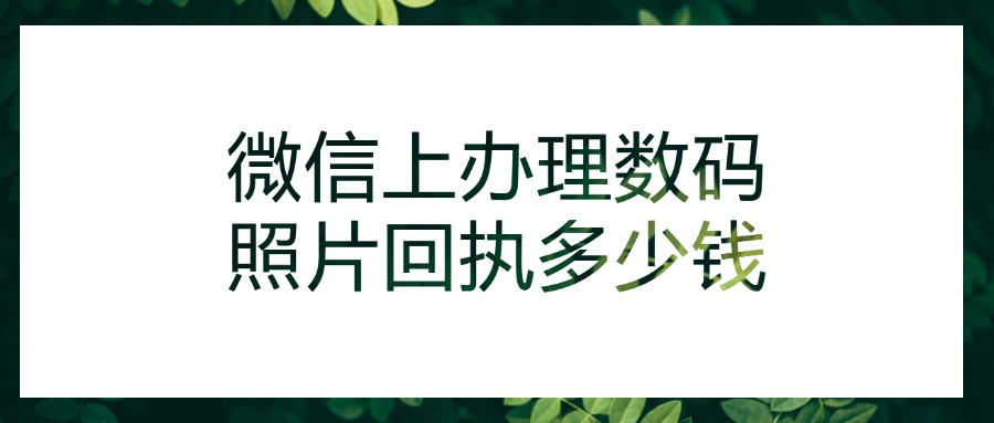 微信上办理数码照片回执多少钱